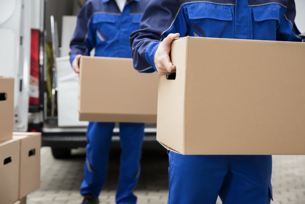 Beneficii soft transport TMS